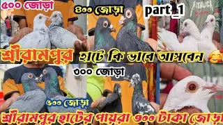 shrirampur হাটে জোড়া পায়রা 300 টাকায় 😱 Shirampore Pet's MARKET 💥 Serampore pakhir hat