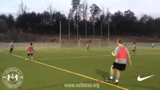 VFC FITNESS & TECHNICAL