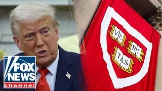 Trump lashes out at judge presiding over Harvard case: 'TOTAL DISASTER'