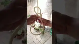 THE BEST and MOST RESISTANT KNOT in the WORLD #knot #camping #diycrafts