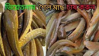 টেংরা মাছের পোনা চাষ পদ্ধতি ও কম দামে মাছের পোনা চাষ করুন মোবাইল ✆ 01339974878