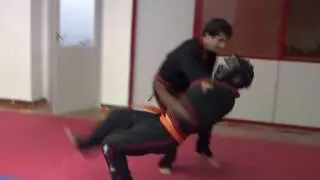 kombatan mano mano 2