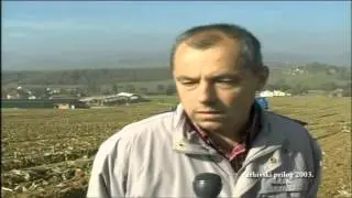 Meho Su&scaron;a - Magazin plus 804