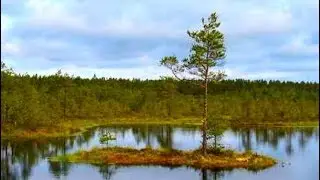 Ibmer Moor