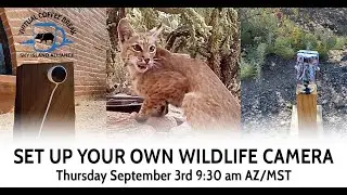 Coffee Break: Setting Up Your Own Backyard Wildlife Camera