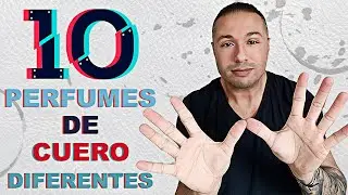| TOP 10 Perfumes de Cuero DIFERENTES ● Mis RECOMENDACIONES | Saludos Arom&aacute;ticos