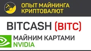 BitCash (BITC) майним картами Nvidia (algo X16R) | Выпуск 178 | Опыт майнинга криптовалют