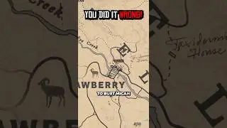 4 Insane Ways to Break Micah Out of Jail in RDR2!