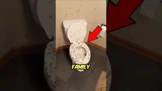 They found the house full of spiders 😰