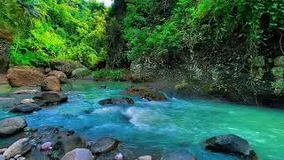 Healing River Sounds for Deep Relaxation and Yoga Practice