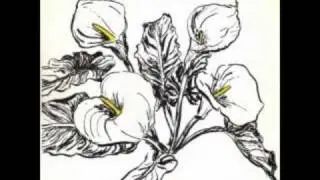 Venom P. Stinger - Flourish Wish