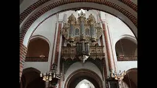 Favorite Historical European Organs 4. 1555 Hermann Rapha&euml;lis, Roskilde, Denmark.