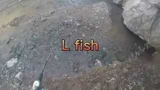 Creek fishing beaver dam for some nice brown trout in the winter!
