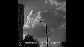 CJD- Community Remaster - Part 1 (FULL ALBUM): A2 - Summer breeze warms my aching heart - Mylvie