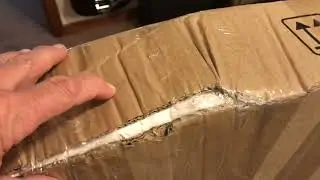Amazon guitar return Starshine LP.