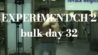 bulk day 32/active rest day