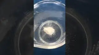Nicolas, Nikayla and Alex experiment  with the calcium carbonate and hydrochloric acid.