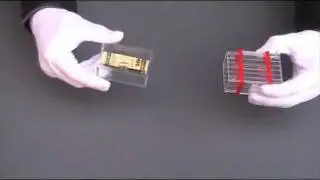 Wonder Fool Box