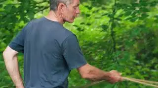 Traditional Forestry Management in Norbury Park