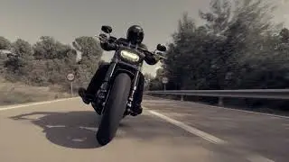 2018 Harley Davidson Fat Bob
