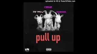 PULL UP - CEELO ft Bilionair