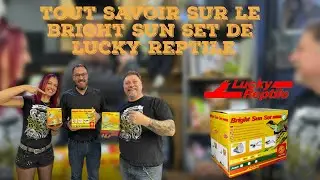 TOUT SAVOIR SUR LES BRIGHT SUN SET LUCKY REPTILE