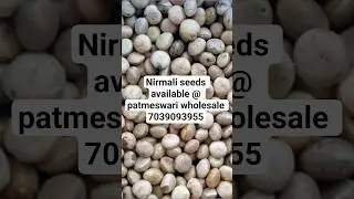 Nirmal seeds | clearing nut | Benefits of Nirmali seeds| | nirmali suprai