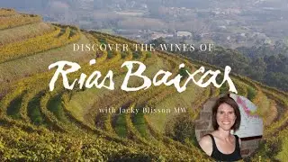The Sensational Spanish White Wine of Rías Baixas - Part Two