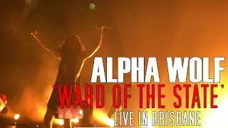 ALPHA WOLF - WARD OF THE STATE (Live in Brisbane 2022)
