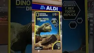 National Geographic Dino Fossil Dig Kit 🦖 🦕 #shorts #science #toys #stem #dinosaur