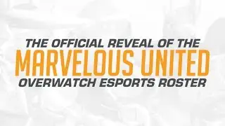 Introducing the Marvelous United Overwatch eSports Roster by Obey Avium