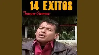 No Estes Trist Hermano