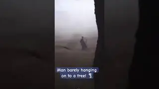 Man barely hangs on to a tree 🌪️😱 #tornado #tornadoes #extremeweather #youtubeshorts #viral