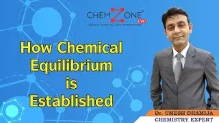 How Chemical Equilibrium is Established