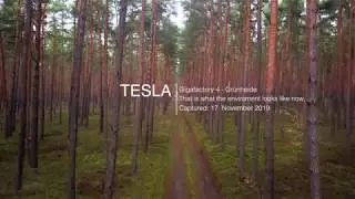 Tesla Gigafactory 4 | 2019-12-17 |  #01   - a foggy day