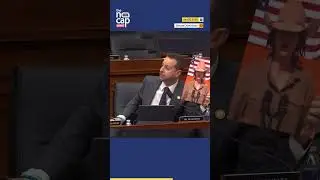 Rep Jared Moskowitz Gets Kristi Neom's Photo To Senate, Then Mocks Her Hats | Watch