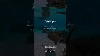 Surah Ibrahim (سورة إبراهيم) | Powerful Quran Recitation for Gratitude & Strong Faith #shorts #quran