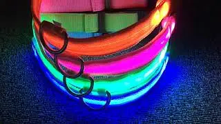 WaterProof LED Safety Dog Collar, Long Lasting Most Durable