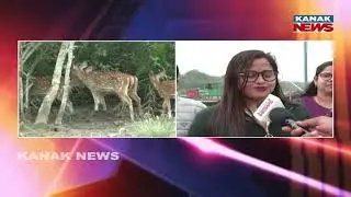 New Year Crowd at Bhitarkanika | Tourists Enjoy Nature & Boating Experience