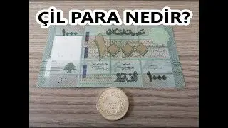 Çil Para Nedir - Kağıt Ve Madeni Para Kondisyon Sınıflandırılması