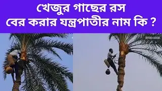 What is the name of the machine for extracting palm juice? @evlogsbd