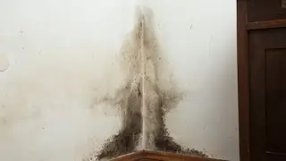 Mold Removal & Inspections in Prescott, Arizona