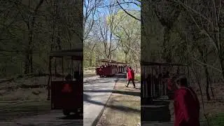 #canada #travel #lakeshore #spring #highpark #Kurdish #kurdishmusic