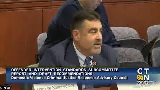Domestic Violence Criminal Justice Response and Enhancement Advisory Council