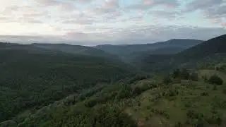 aerial forestainous drone view of coniferous pine forest footage from green nature  SBV 347678557 HD