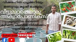 AQUAPONICS വീട്ടുമുറ്റത്തൊരു അക്വാപോണിക്സ്. വിഷരഹിത പച്ചക്കറിയും മത്സ്യവും കൃഷി ചെയ്യാം