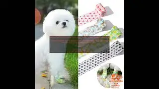 1005005879093923 Colorful Dog Foot Wrap Self Adhesive Anti dirty Pet Bandage Pet ShoeOu