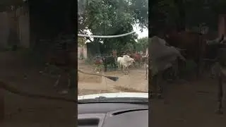 Rampuria Roads