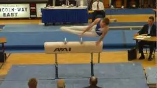 2010 IHSA Boys Gymnastics State Finals - Pommel Horse