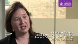 Developmental origins of obesity and cancer risk - Dr Susan Ozanne
